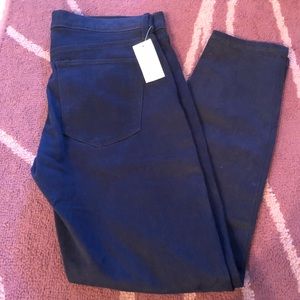 NWT Gap Navy Blue Skinny Pant